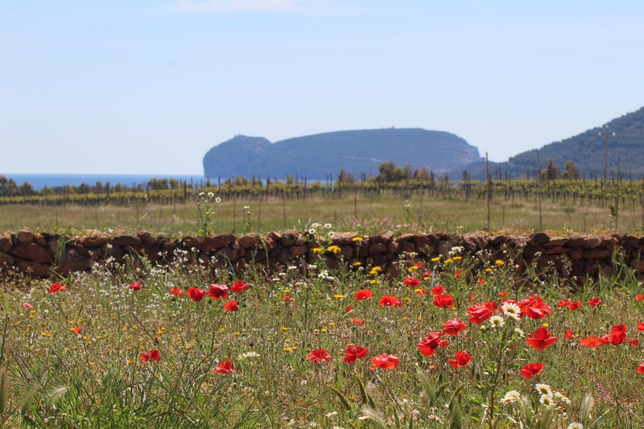פורטו קונטה Agriturismo Graziano E Barbara מראה חיצוני תמונה