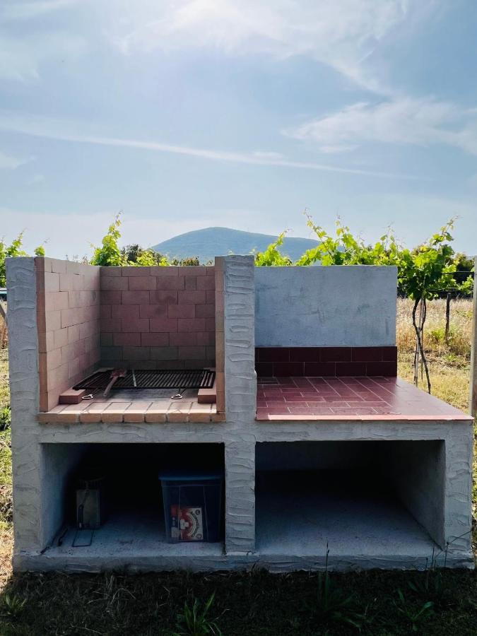 פורטו קונטה Agriturismo Graziano E Barbara מראה חיצוני תמונה