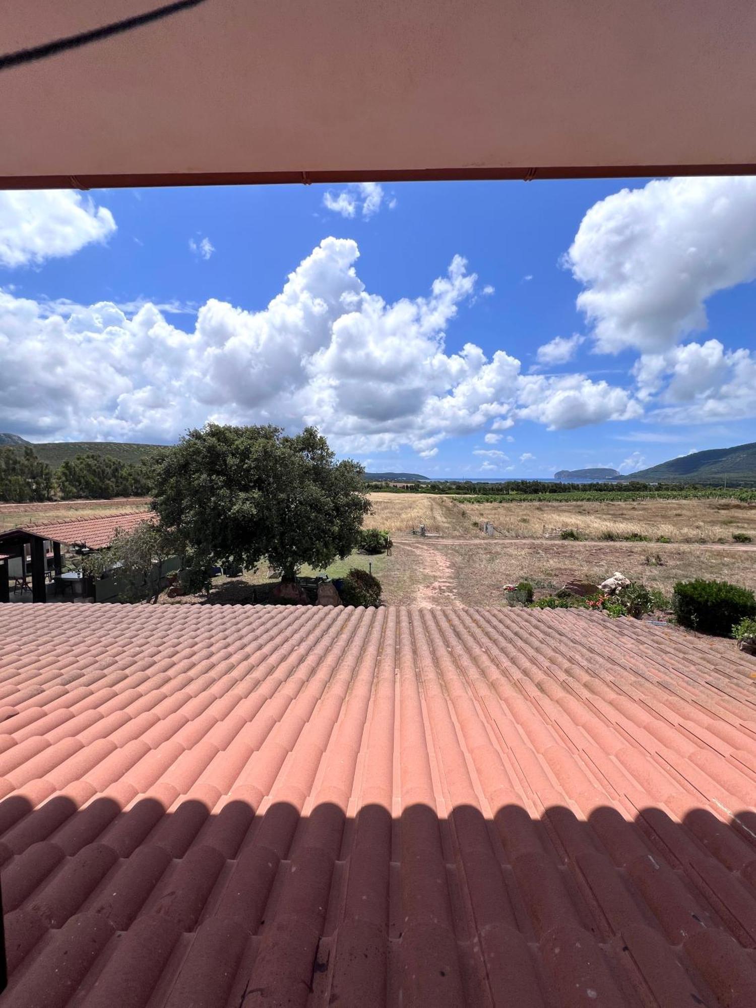פורטו קונטה Agriturismo Graziano E Barbara מראה חיצוני תמונה
