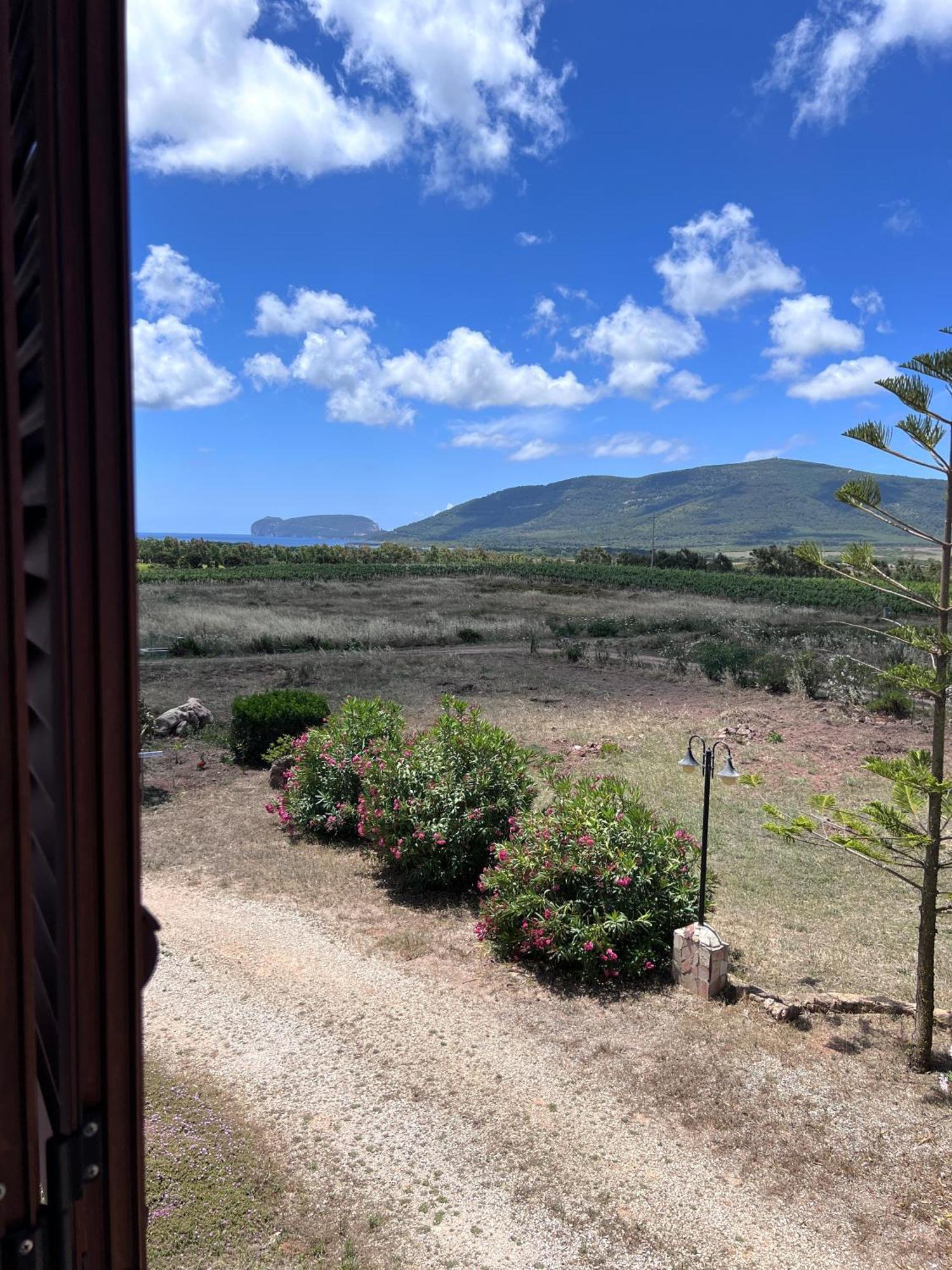 פורטו קונטה Agriturismo Graziano E Barbara מראה חיצוני תמונה